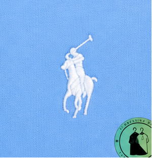 Polo Ralph Lauren   Sweat à capuche zippé en maille double Bleu Ciel