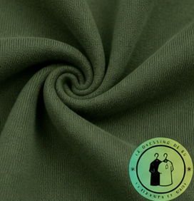 Polo Ralph Lauren  Sweat à capuche zippé en maille double Vert Foncé